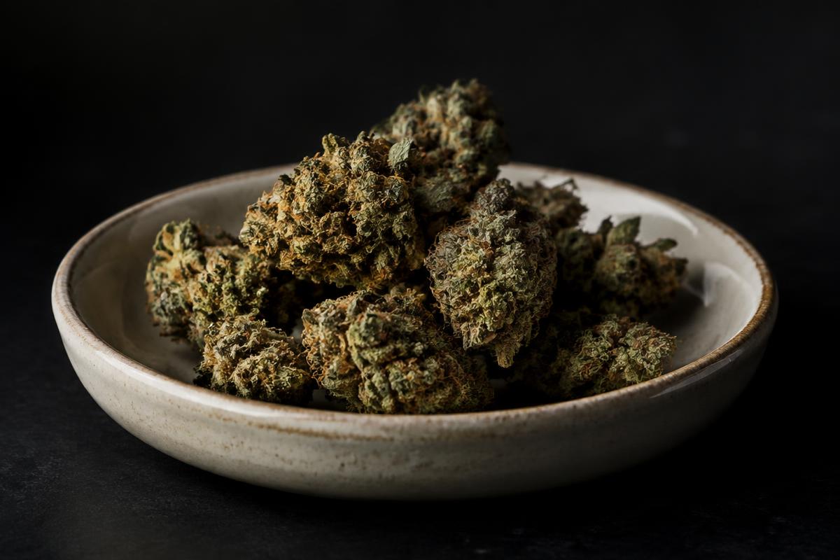 Small hemp flower buds in a glass dish